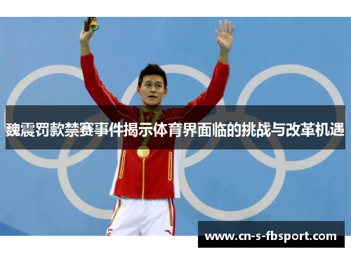 魏震罚款禁赛事件揭示体育界面临的挑战与改革机遇