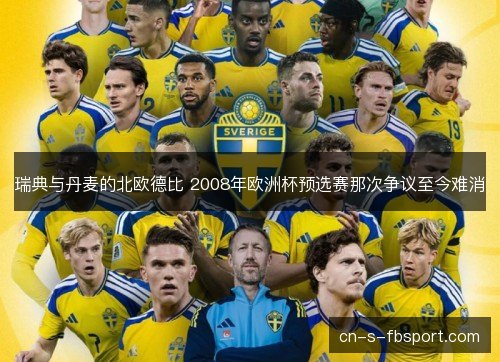 瑞典与丹麦的北欧德比 2008年欧洲杯预选赛那次争议至今难消